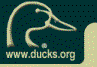 Ducks Unlimited Home